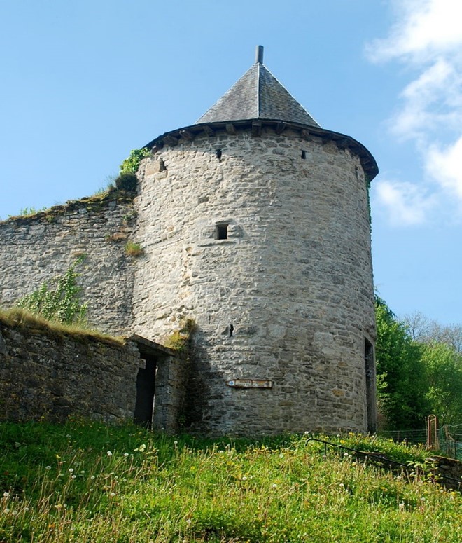 Photo du Château du Pont d'Avignon